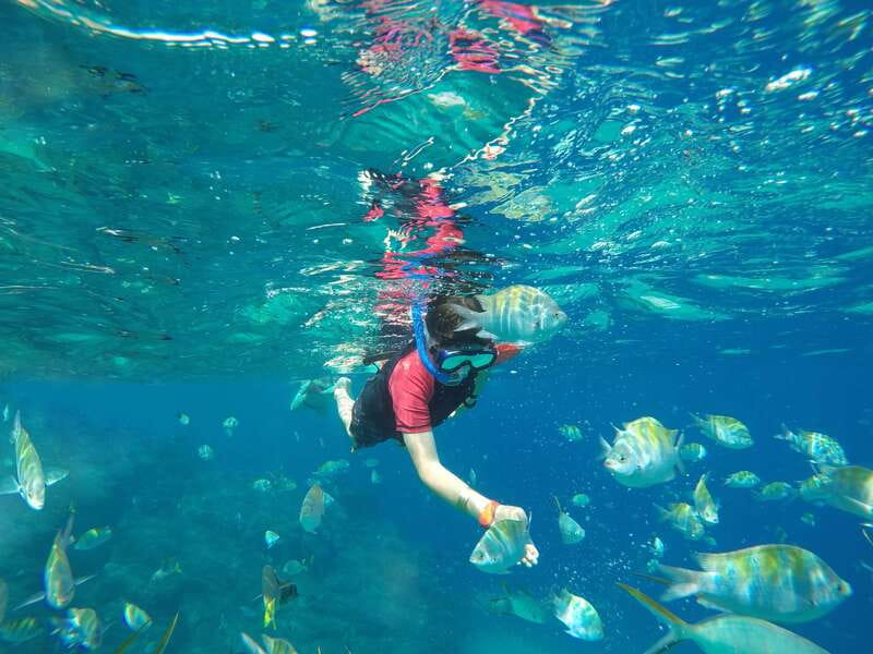 Cabo San Lucas: Snorkel, Paddle-board, and/or Kayak Tour - How the timing and pickup actually feel in real life
