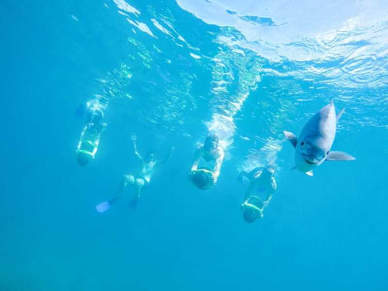 Cabo San Lucas: Snorkel, Paddle-board, and/or Kayak Tour - Who this tour fits best