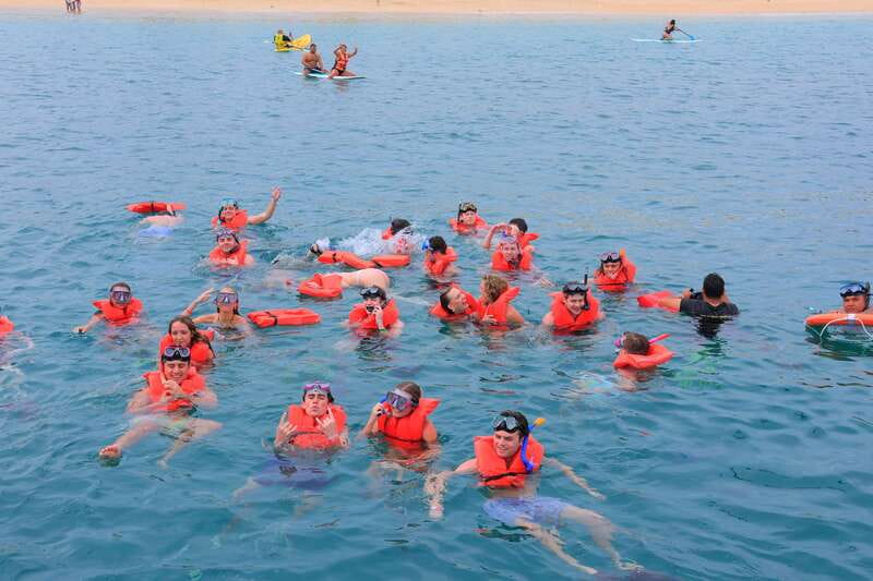 Cabo San Lucas: Snorkeling, Tacos and Chileno Bay Boat Tour - Snorkeling Gear Plus Paddle Boards and Floating Mats