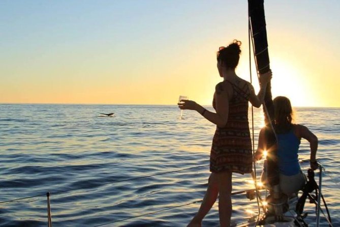 Cabo San Lucas Sunset Sailing Shared Cruise - Who This Cabo Sunset Cruise Fits Best