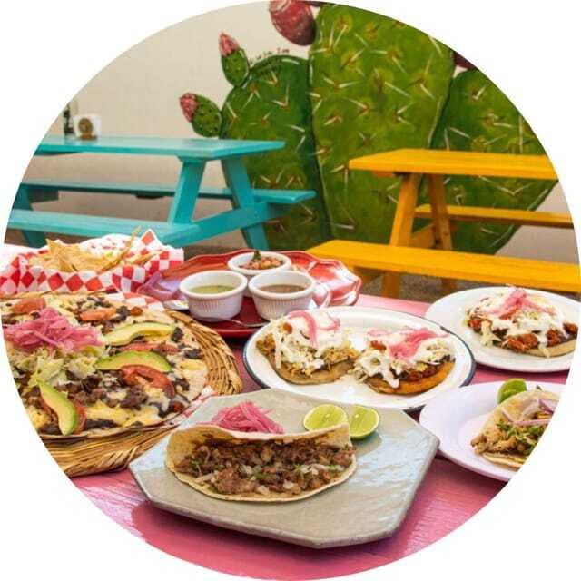 Cabo San Lucas: Taco Safari Tour - Who This Taco Safari Fits Best (and Who Might Skip It)