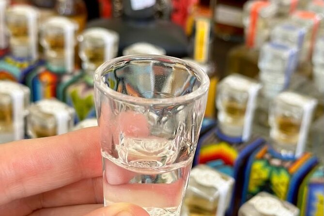 Cabo San Lucas Tequila Tasting and Mixology Class in Tasting Room - Key Highlights You’ll Care About