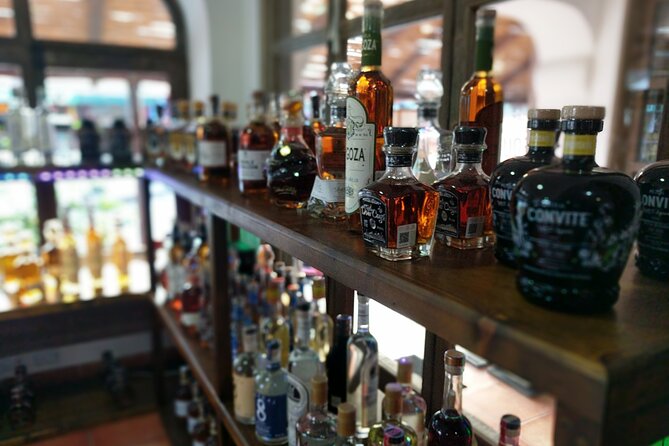 Cabo San Lucas Tequila Tasting Experience - Who should book this (and who should skip it)