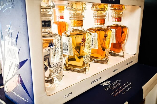 Cabo San Lucas Tequila Tasting Experience - Practical tips before you go