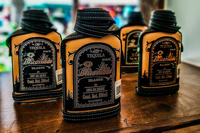Cabo San Lucas Tequila Tasting Experience - The guide’s role: history, production basics, and how not to burn