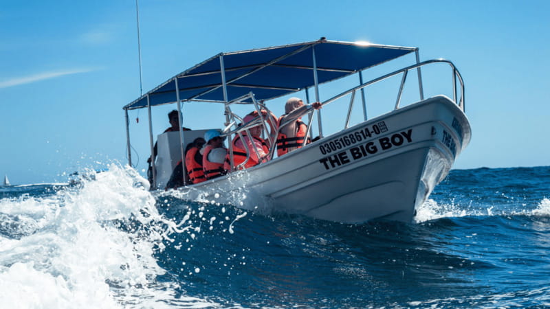 Cabo San Lucas: Tour paseo al Arco + bajada en playa - Starting at Pochos Cabos Activities: Quick briefing, then straight to the water