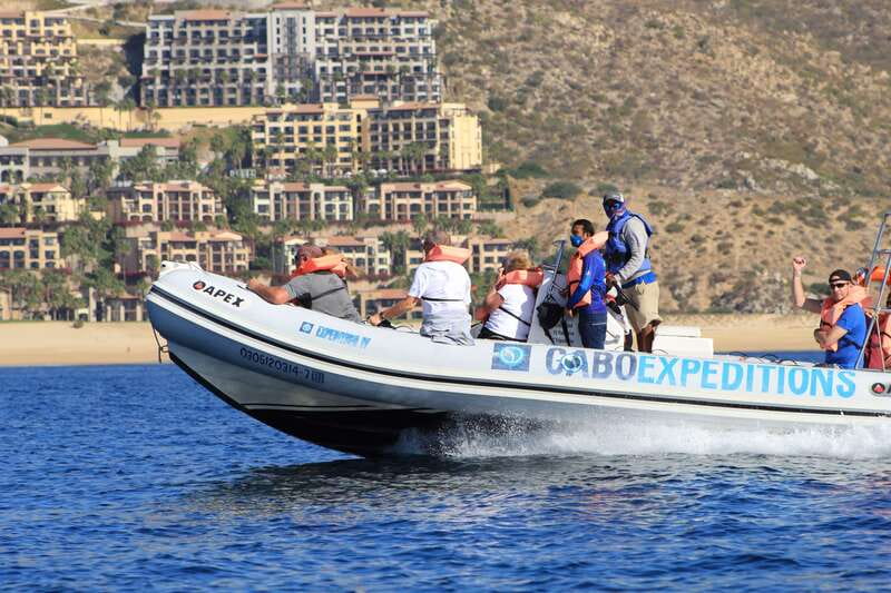 Cabo San Lucas: Up-Close Whale Watching Small-Group Tour - How the 2.5 hours actually play out on the water