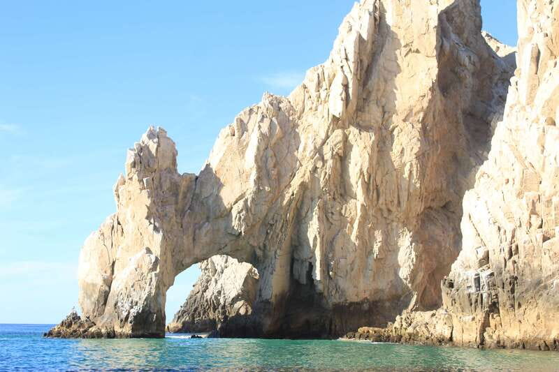 Cabo San Lucas: Up-Close Whale Watching Small-Group Tour - La Terminal de Cabo: the start point you’ll want to locate early