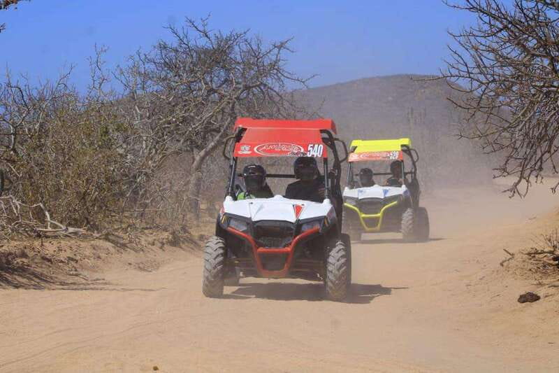 Cabo San Lucas: UTV Razor Tour of Migriño Desert and Beach - Wildflowers, Mountain Views, and Photo Stops Without the Museum Vibe
