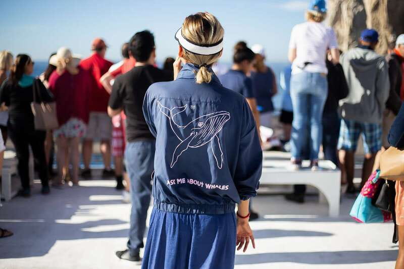 Cabo San Lucas: Whale Watching Breakfast Cruise - The Morning Itinerary: Cruise, Scan, and Learn While You Eat