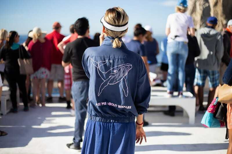Cabo San Lucas: Whale Watching Breakfast Cruise - Wildlife Ethics Meet a Party-Boat Vibe (Yes, Both Can Coexist)