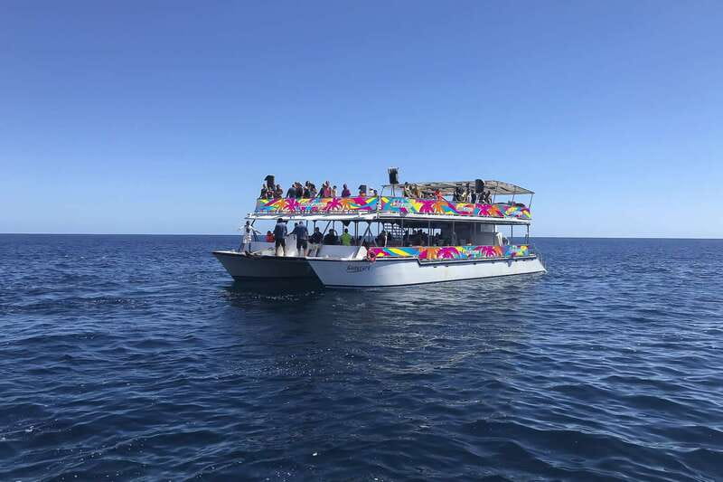 Cabo San Lucas: Whale Watching Breakfast Cruise - Who Should Book This (and Who Might Want a Different Plan)