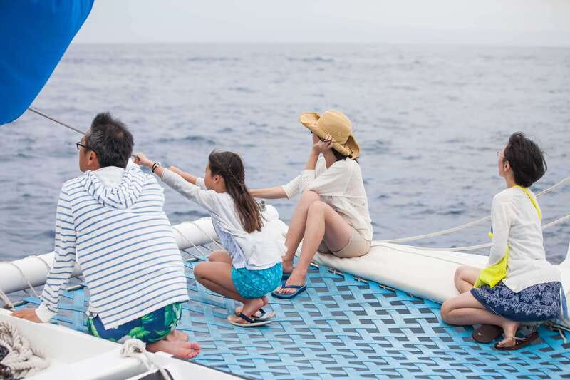 Cabo San Lucas: Whale Watching Catamaran Experience - Cabo’s famous landmarks from water level: Arch, Lover’s Beach, and Land’s End