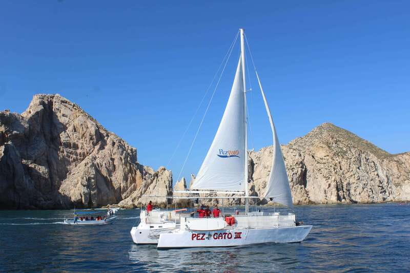 Cabo San Lucas: Whale Watching Experience on Catamaran - Food and Drinks: Breakfast, Lunch, and the Open National Bar