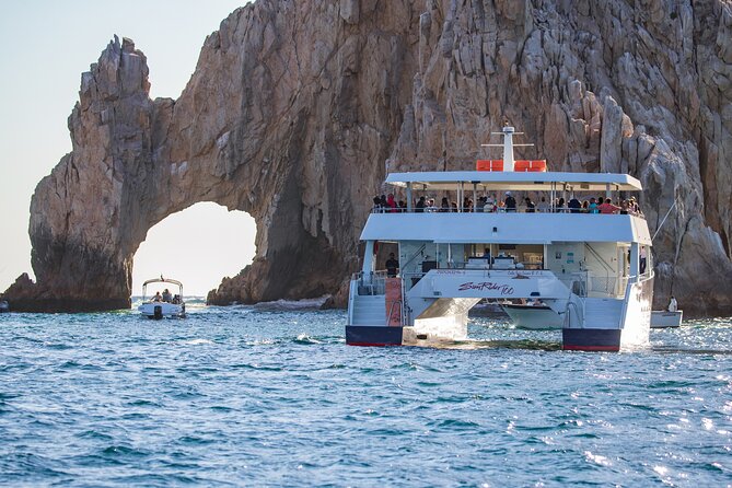 Cabo San Lucas Whale Watching Lunch Cruise - Practical tips before you go (and a few things to watch)
