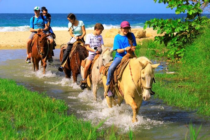 Cabo Shore Excursion: Beach Horseback Ride & Tequila Tasting - Stop 2: Los Cabos Scenic Moving Views