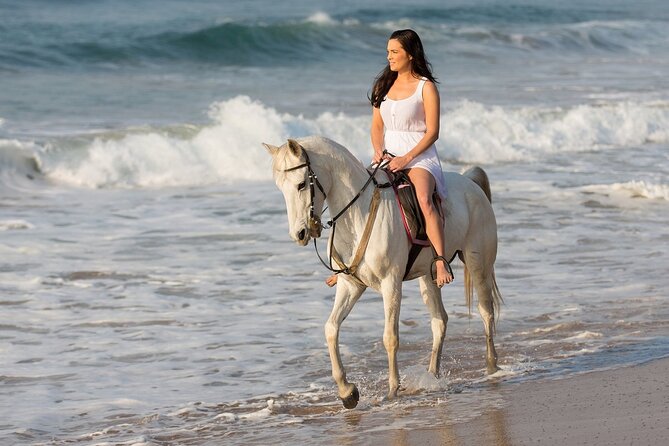 Cabo Shore Excursion: Beach Horseback Ride & Tequila Tasting - Stop 3: El Arco Photo Stop With Realistic Expectations
