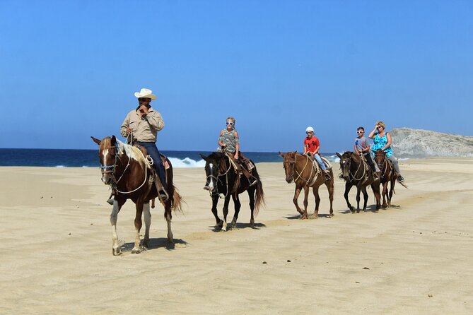 Cabo Shore Excursion: Beach Horseback Ride & Tequila Tasting - Horses, Guides, and Safety: What Actually Makes It Work