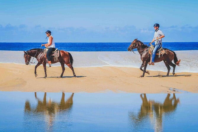 Cabo Shore Excursion: Beach Horseback Ride & Tequila Tasting - How Pickup Works and What to Expect on Timing