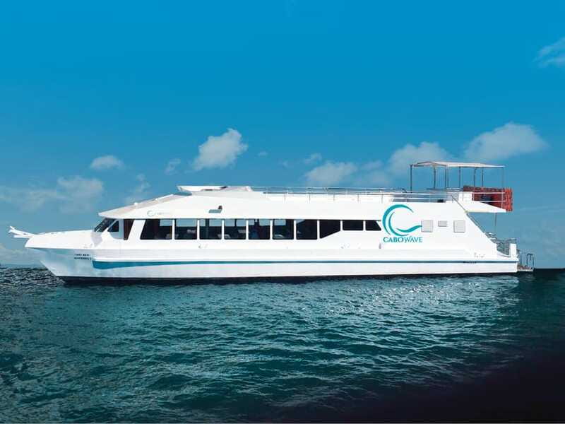 Cabo: Sunset Cruise with Dinner, Music & Open Bar - Who this cruise suits best (and who might not love it)