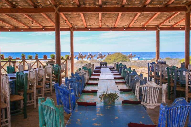 Cabo: Todo Santos Tour with Camel Ranch, Tequila and Lunch - Tierra Sagrada camel ranch: the camel kiss moment