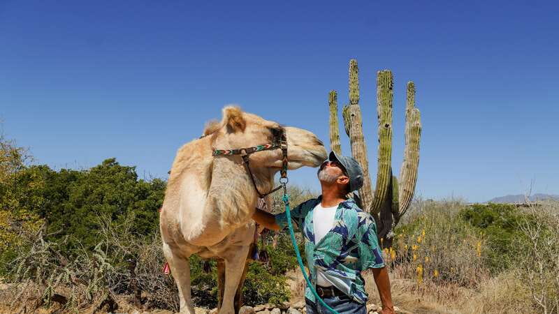 Cabo: Todo Santos Tour with Camel Ranch, Tequila and Lunch - Lunch by the oceanfront: what you’ll eat and how it fits the day