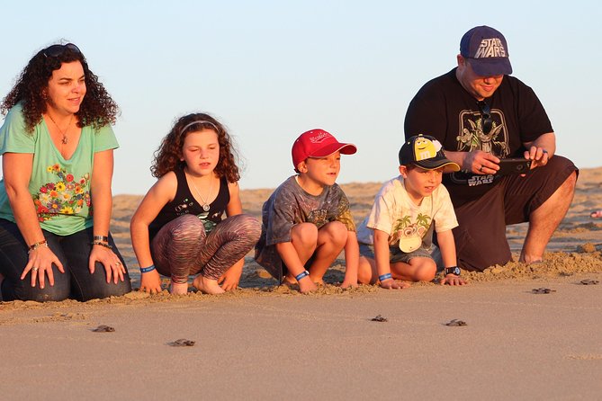 Cabo Turtle Release - The Small-Group Marine Biology Lesson with Sylvia and Juan