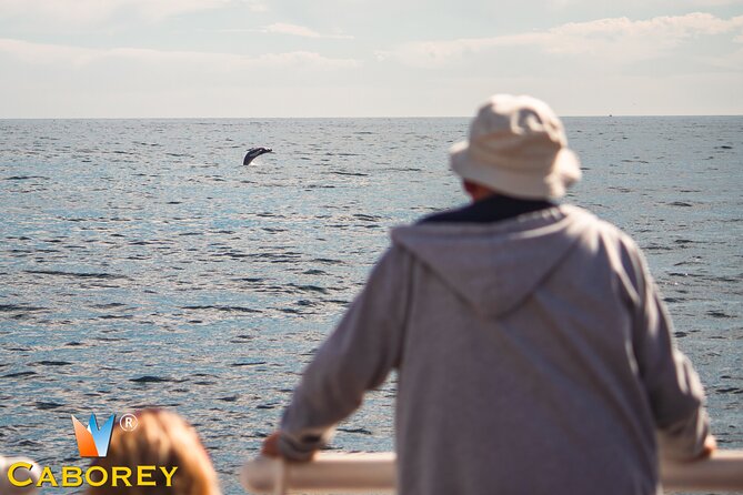 Cabo Whale Watch Three-Level Vessel and Majestic Arch - Key Highlights Worth Your Time