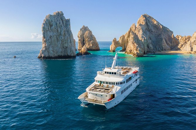 Cabo Whale Watch Three-Level Vessel and Majestic Arch - Cabo Whale Watch + El Arco: The Big Idea