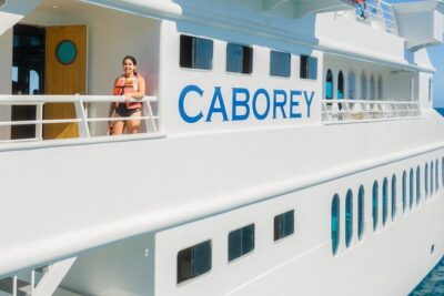 Cabo Whale Watch Three-Level Vessel and Majestic Arch - The Boat Layout: Why a Three-Level Vessel Actually Helps