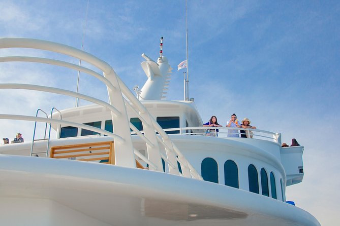 Cabo Whale Watch Three-Level Vessel and Majestic Arch - Price and Value: What You’re Really Paying For