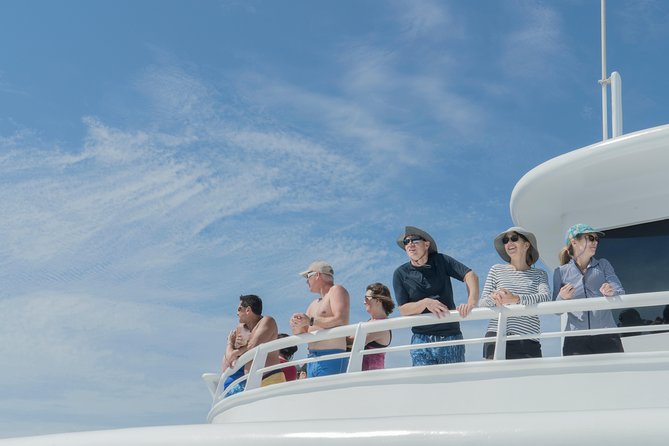 Cabo Whale Watch Three-Level Vessel and Majestic Arch - Timing, Meeting Point, and Getting There Without Stress
