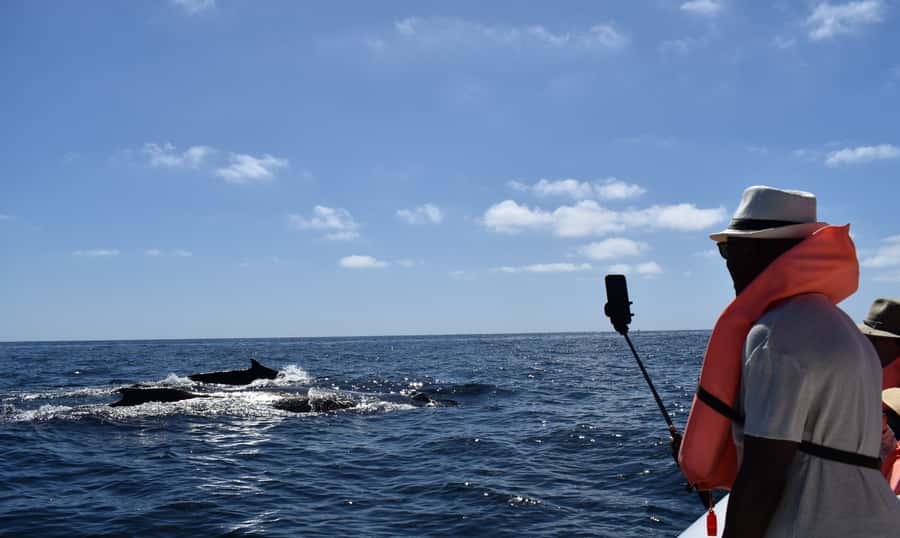 Cabo: Whale-Whatching Boat Trip w/ All-Women Crew and Photos - The Boat Setup: Small, Photo-Friendly, and Built for Real Viewing