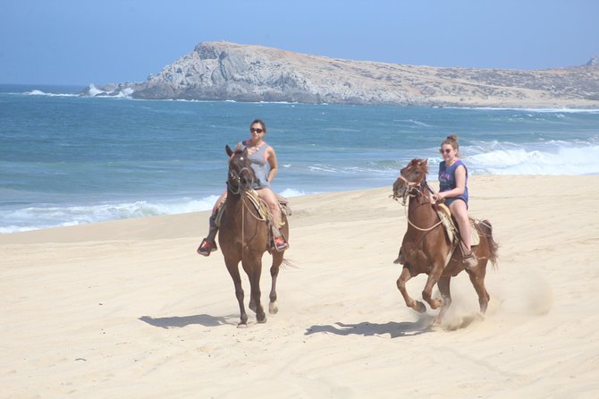 Cabo White Sand Horseback Riding Tour and Tequila Tasting - Quick hits before you book