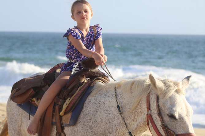 Cabo White Sand Horseback Riding Tour and Tequila Tasting - Desert-Then-Beach Riding in Cabo: What the Coast Trip Really Feels Like