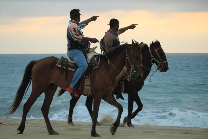 Cabo White Sand Horseback Riding Tour and Tequila Tasting - The Real Cost: $85 Is the Starter Price, Not the Full Bill
