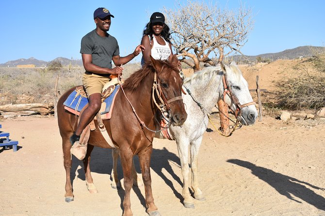 Cabo White Sand Horseback Riding Tour and Tequila Tasting - Wildlife from the Shore: What You’re Likely (and Unlikely) to See