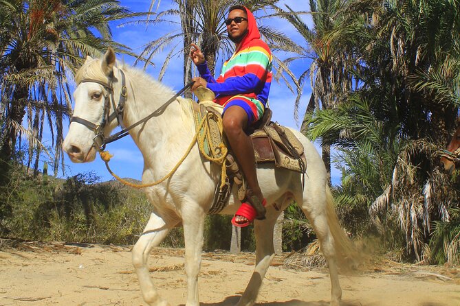 Cabo White Sand Horseback Riding Tour and Tequila Tasting - The Tequila Tasting Moment: Included, Sometimes Great, Sometimes Sales-Heavy