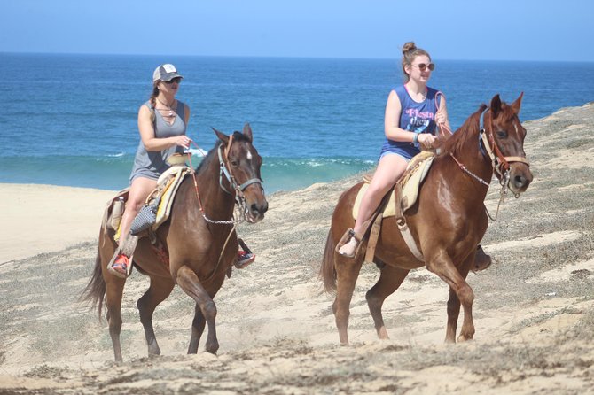 Cabo White Sand Horseback Riding Tour and Tequila Tasting - What to Bring for Comfort (and Better Photos You’ll Actually Want)