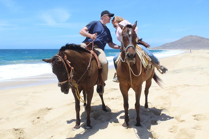 Cabo White Sand Horseback Riding Tour and Tequila Tasting - Timing, Pickup, and Why Your Day Might Feel Longer Than 2 Hours