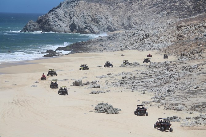 Cabo Wild Desert Tour, Polaris ATV or Razor Single, Double, Triple or Quad! - Guides make or break the day: what I’d look for in Armando, Julio, and Alberto