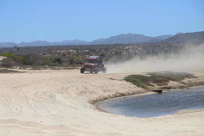 Cabo Wild Desert Tour, Polaris ATV or Razor Single, Double, Triple or Quad! - Price and the extra fee you must plan for