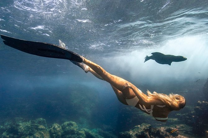 Cabo Wildlife Safari - From the Cabo Arch to a Snorkel-Friendly Reef