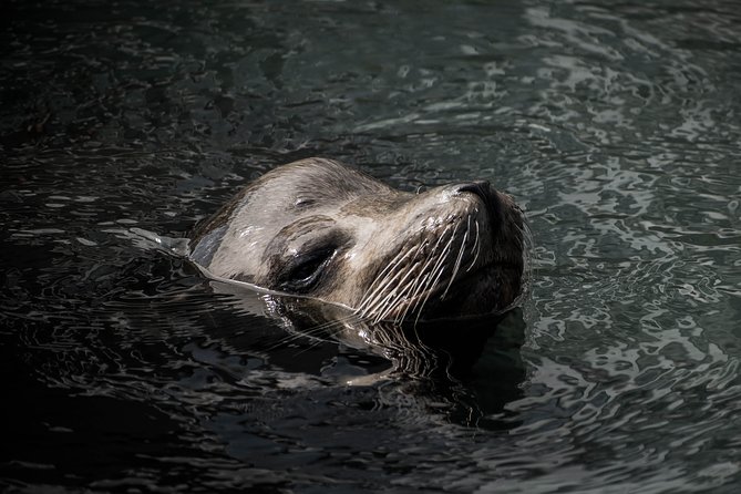 Cabo Wildlife Safari - Price and Value: What $109 Covers