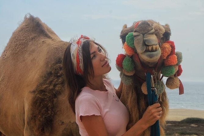 Cactus Combo Combine two of your favorite desert tours - Camel riding by the sea: calmer pace, memorable moments
