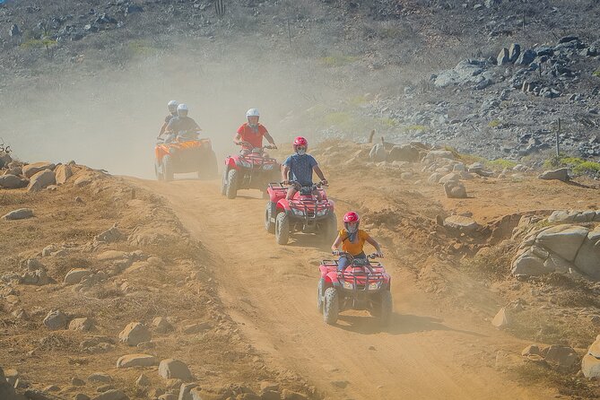 Cactus Combo Combine two of your favorite desert tours - Horseback riding option: a gentle alternative with fit concerns