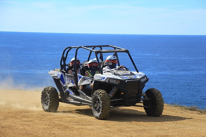Cactus Combo Combine two of your favorite desert tours - Price and logistics: why the final cost can surprise you