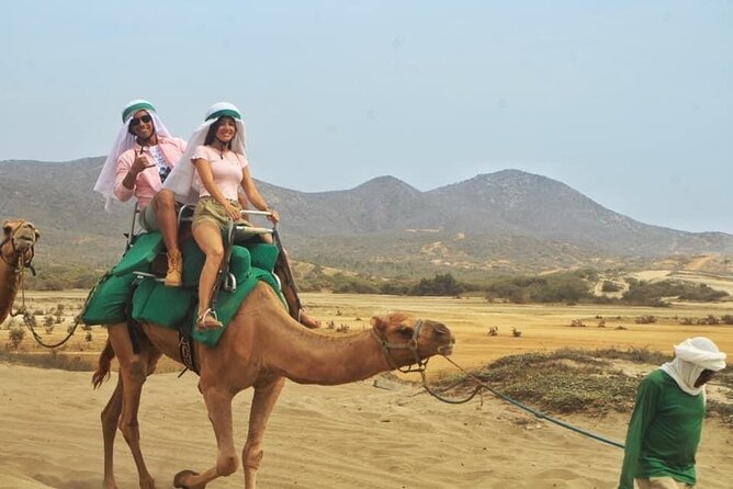 Cactus Combo Combine two of your favorite desert tours - Group size, language, and who will feel most comfortable
