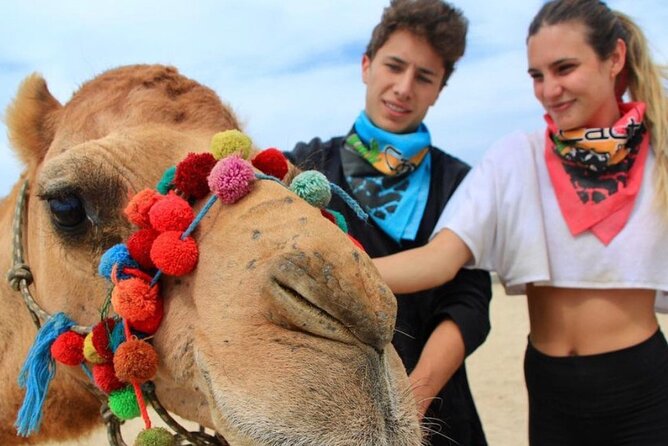 Camel Encounter and Safari Ride with Lunch and Alcohol Tasting - Pacific Beach Camel Ride: Why This Feels Different in Cabo
