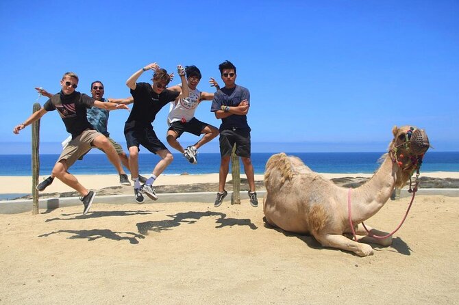 Camel Encounter and Safari Ride with Lunch and Alcohol Tasting - Lunch With Tacos/Fajitas: A Simple Meal That Actually Helps